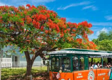 Key West: Hop-on Hop-off Old Town Trolley