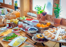 Bali Zoo Tickets + Breakfast with Orangutans