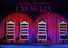 Las Setas - Flamenco Show