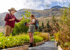 From Queenstown: TSS Earnslaw/Spirit of Queenstown with Walter Peak Farm Tour