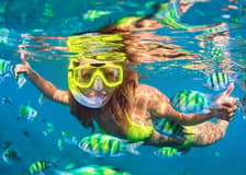 From Phuket: Phi Phi Island, Maya Bay & Bamboo Island Tour by Speedboat with Lunch & Optional Transfers