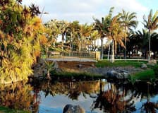 Palmetum of Santa Cruz de Tenerife: Entry Ticket