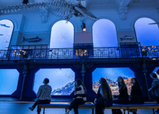 Oceanographic Museum of Monaco: Entry Ticket