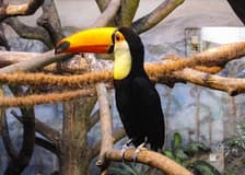 Warsaw Zoo Park with Private Transport