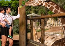 San Antonio Zoo Flexible Any-Day Entry Ticket