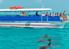Key West: Dolphin Watching Eco Tour