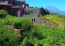 Bodegas Monje: Winery Visit & Wine Tasting