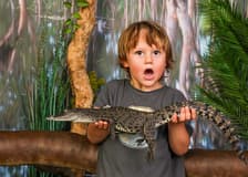 Crocosaurus Cove Tickets