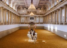 Spanish Riding School Training with Music Tickets