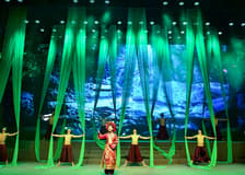 Charming Danang Show (Admission Ticket)