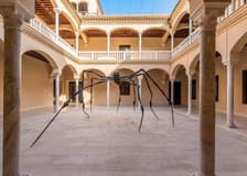 Picasso Museum Malaga Tickets