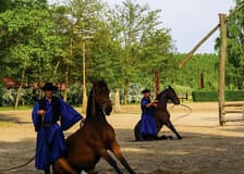 From Budapest: Kecskemet with Traditional Horse Show Day Trip