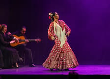 Teatro Flamenco Madrid - Emotions Show