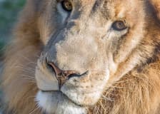 Austin Zoo: Skip The Line Ticket