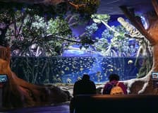 Seville Aquarium Tickets