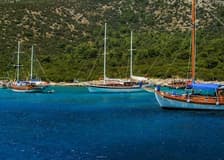 Bodrum: Orak Island Boat Trip