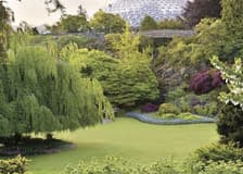 Bloedel Conservatory: Entry Ticket