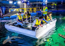 Sydney Multi-Attraction Pass