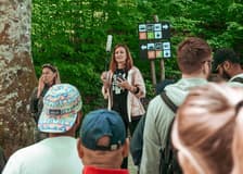 From Zadar: Full-Day Guided Tour of Plitvice Lakes National Park