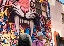 Montreal: Murals Walking Tour