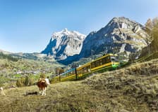 From Lauterbrunnen: Jungfraujoch Top of Europe Round-Trip Train Tickets