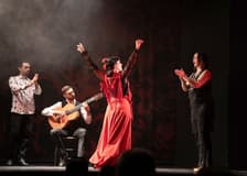 Teatro Flamenco Barcelona - Inspiration Show