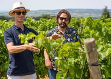 From Avignon: Wine Tour to Châteauneuf-du-Pape