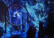 Astra Lumina at Currumbin Wildlife Sanctuary 
