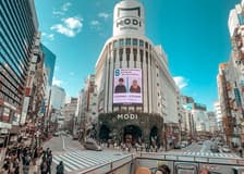 Sky Hop Bus: Tokyo Hop-On Hop-Off Bus Tour