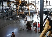 Halle de La Machine: Entry Ticket