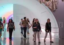 The Museum of Fine Arts, Houston: ALL ACCESS Ticket