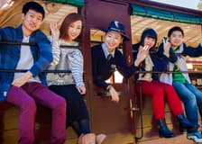 From Melbourne: Puffing Billy Train Ride & Phillip Island Guided Tour