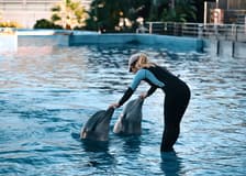 Combo: Oceanogràfic + Hemisfèric Tickets
