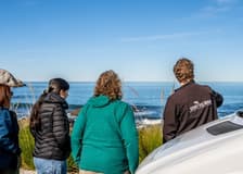 Kaikoura: Small-Group Guided Tour from Christchurch + Lunch