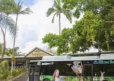 Kuranda Rainforestation with Skyrail Rainforest Cable