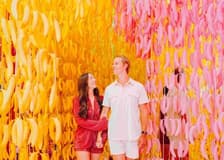 Museum of Ice Cream Miami: Entry Ticket