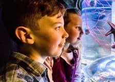 SEA LIFE Brighton: Standard Ticket