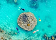 Airlie Beach: Whitsundays Snorkel and Hill Inlet Tour with Hotel Transfers