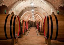 Montepulciano: Vineyard Guided Tour + Wine Tasting