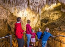 Ruakuri Cave Guided Tour