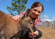 From Melbourne: Brighton Beach, Moonlit Sanctuary & Phillip Island Day Trip with Penguin Parade