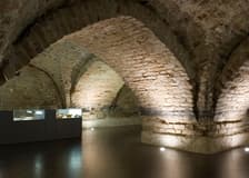 Crypts of Vilnius Cathedral: Guided Tour
