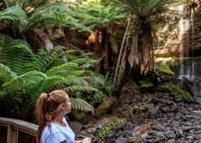Mt. Field, Bonorong Wildlife Sanctuary & Mt. Wellington: Guided Tour