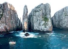 From Port Arthur: Tasman Island 3-Hour Wilderness Cruise

