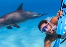 Hurghada: Guided Subwing & Water Ski Adventure + Private Transfer