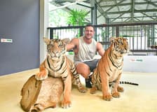 Tiger Park Tickets with Tiger Interactions: Non-Thai Residents