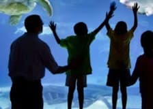 Go City Philadelphia: Explorer Pass with 3 to 7 Attractions