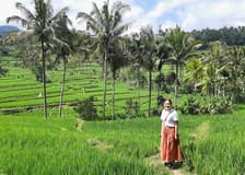 Private Bali Ubud Tour: Tirta Empul, Rice Terrace & Swing