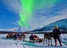 Tromso: Northern Lights, Reindeer and Sami Experiences
