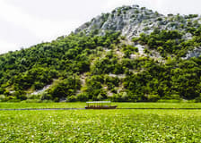 From Virpazar: Lake Skadar Sightseeing Boat Tour & Kom Monastery with Drinks